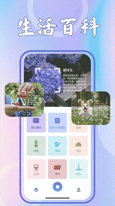 识花君植物识别app下载,识花君植物识别,植物识别app,花识别app
