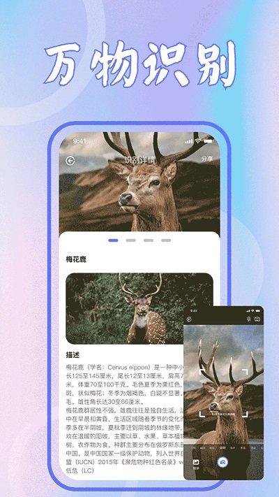 识花君植物识别app下载,识花君植物识别,植物识别app,花识别app